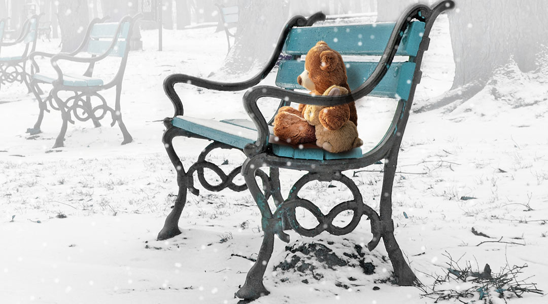 The bear on the park bench